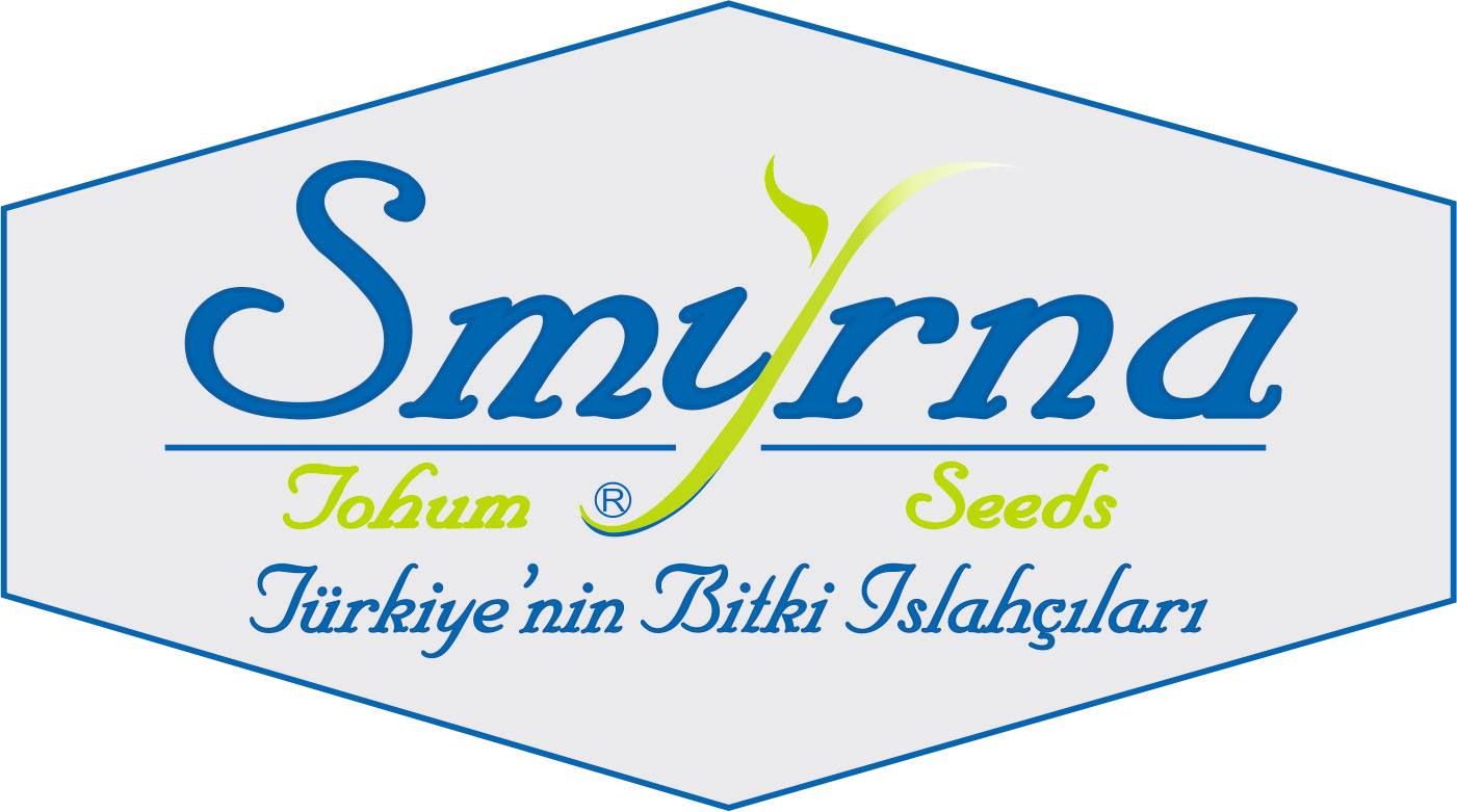 smyrna logo